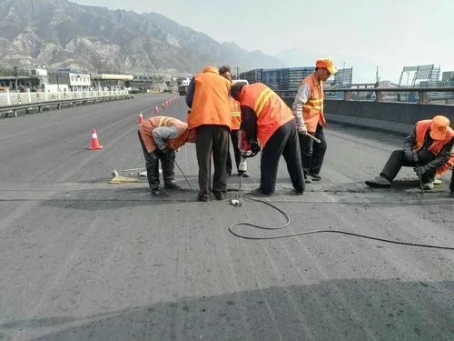 宁海道路桥梁病害治理